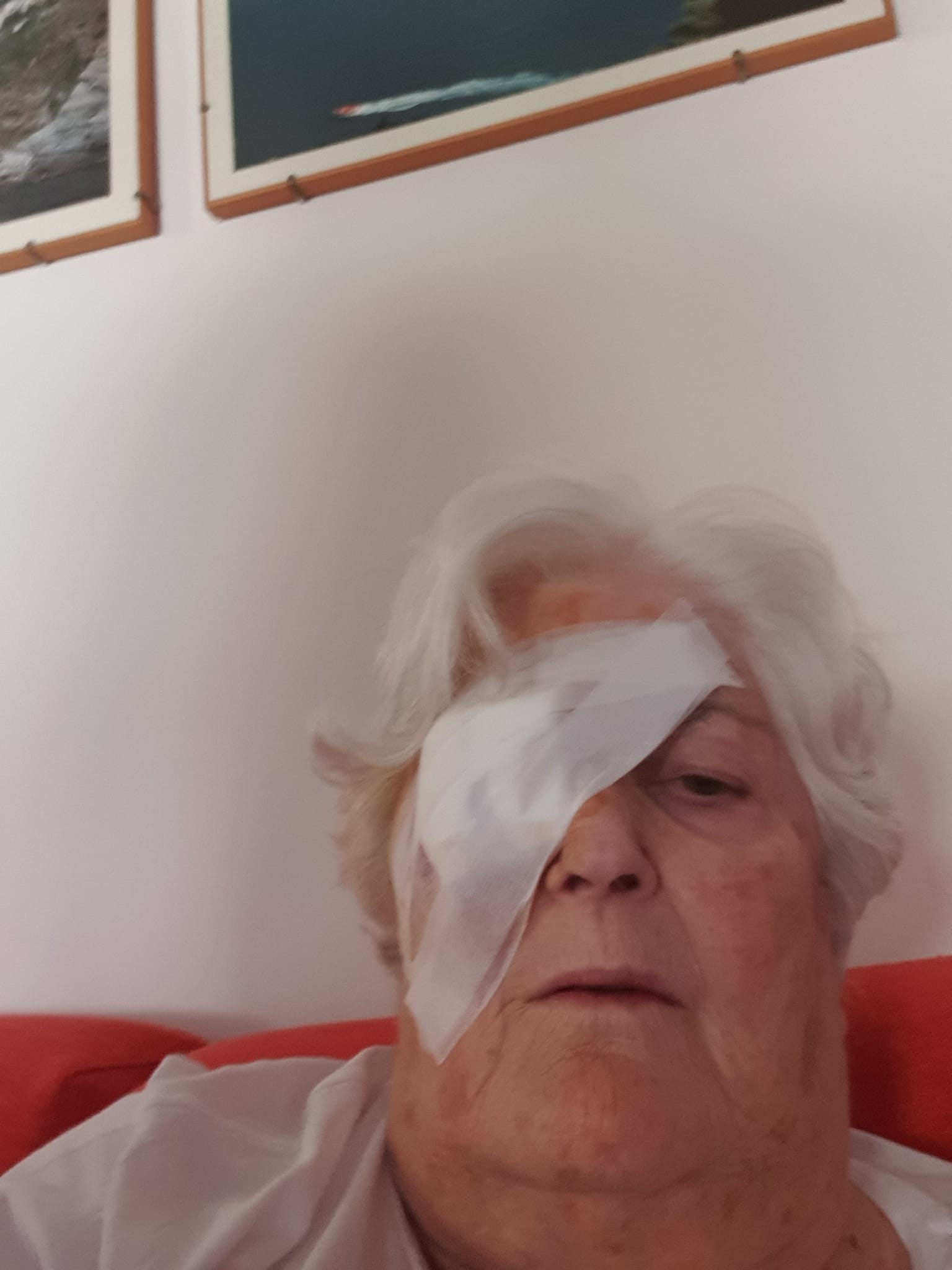 Solidaridad e inclusión en acción